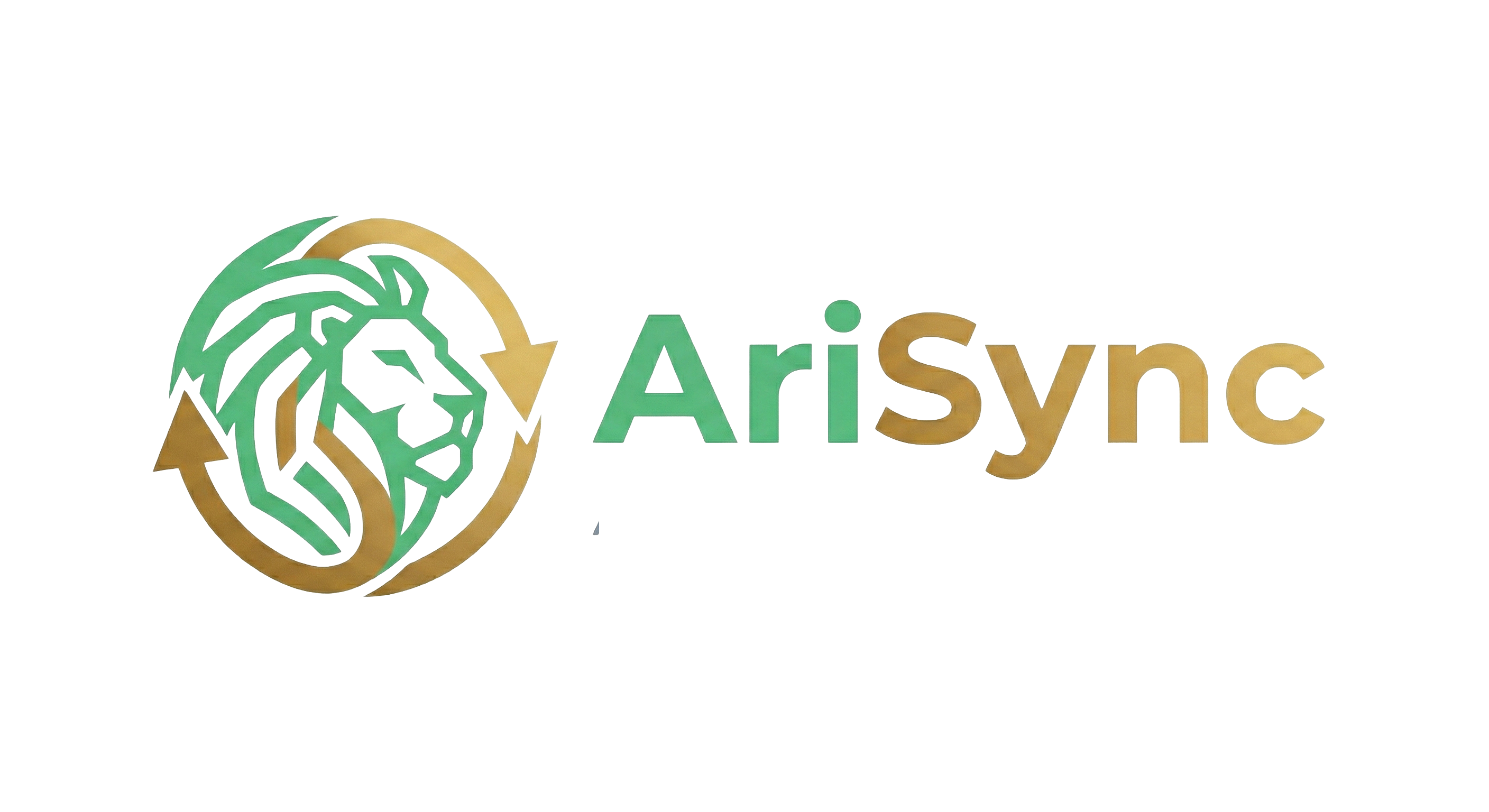 www.arisync.co.il favicon